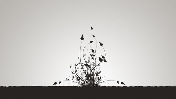 胎教应该什么时候听