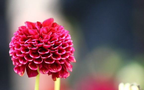 oppo手机内存不足怎么解决