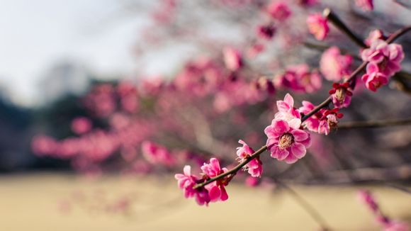 九个月宝宝出汗多是怎么回事,头发湿的