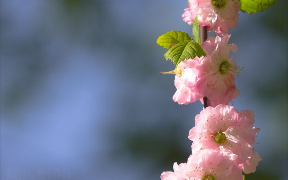 女宝宝周岁送什么